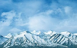 轰炸电话号码